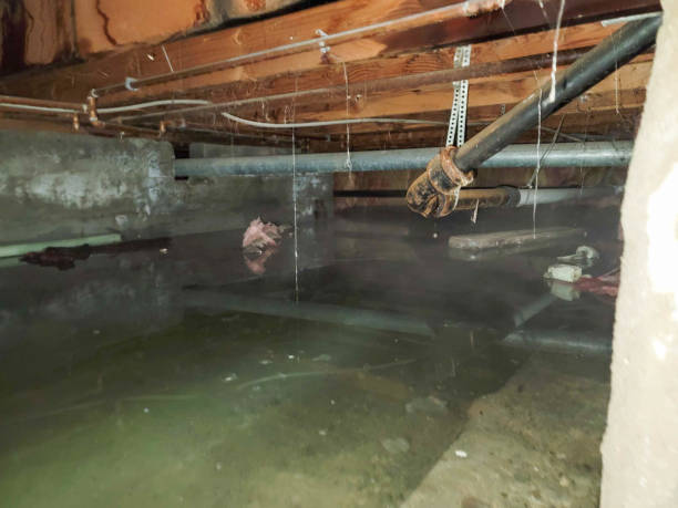 Best Water damage restoration near me  in Squaw Valley, CA
