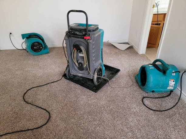 Best 24-hour water damage restoration  in Squaw Valley, CA