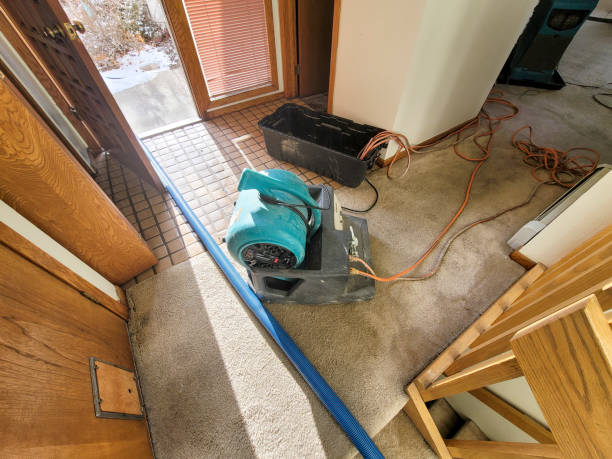 Best Flood restoration services  in Squaw Valley, CA