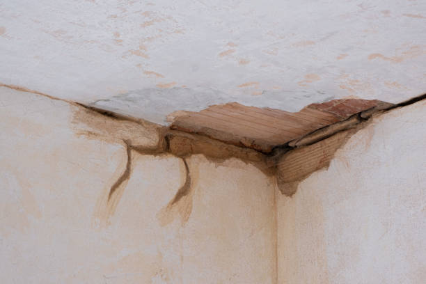  Squaw Valley, CA Water damage restoration Pros
