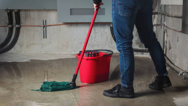 Best Flood damage cleanup  in Squaw Valley, CA