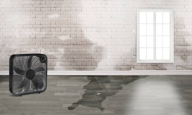 Best Fire Damage Restoration  in Squaw Valley, CA