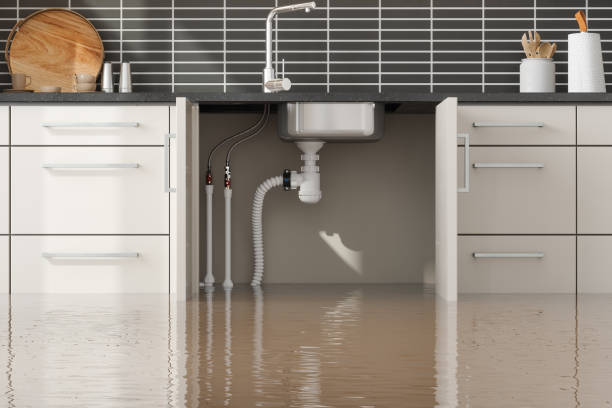 Best Water damage restoration services  in Squaw Valley, CA