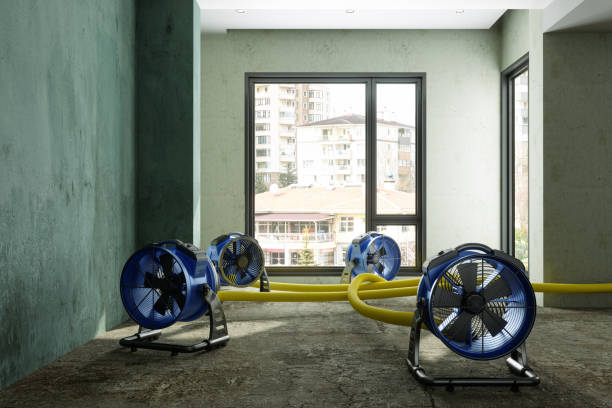 Best Water damage cleanup near me  in Squaw Valley, CA