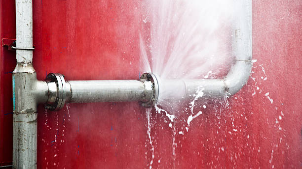 Best Water damage cleanup near me  in Squaw Valley, CA